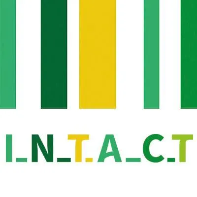 Intact Systems logo