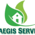 Intaegis Services