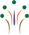 InteleANTS