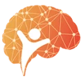 Intelligenz IT
