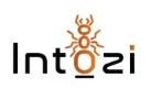 Intozi