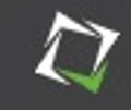 INTUS Windows logo