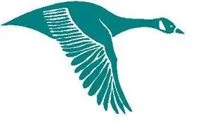 Investors Title logo