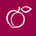 IPlum logo