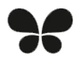Iris Home Fragrances logo