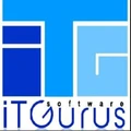 iT Gurus Software logo