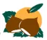 Italcanditi logo