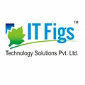 ITFigs Technology Solutions