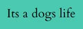 Its a dogs life logo