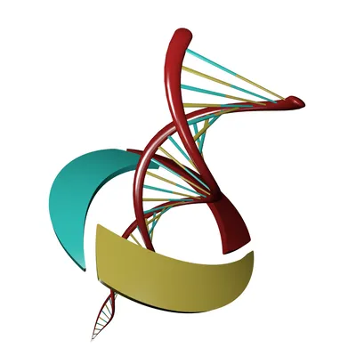 IVD Vision logo