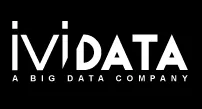 Ividata logo