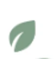 Ivy Fertility logo