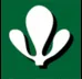 JADE Learning logo