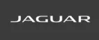 Jaguar Mexico logo