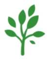 Jama Botanics
