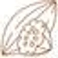 Jardi Chocolates logo