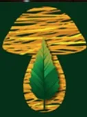 Kamal Mushrooms