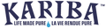 Kariba Beverages logo