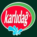 Karlidag logo