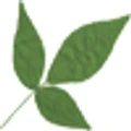 KARPAGAM Pharma