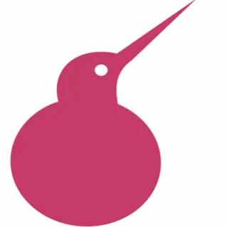 KartKiwi