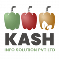 Kash Info Solutions