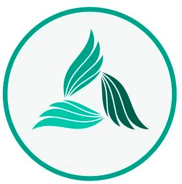 Kashmir Angel Network logo
