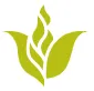 Kerfoot Group logo
