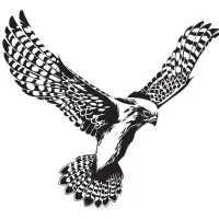 Kestrel Powder Coating logo