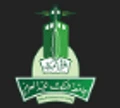 King Abdulaziz University logo