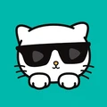 Kitty Live logo