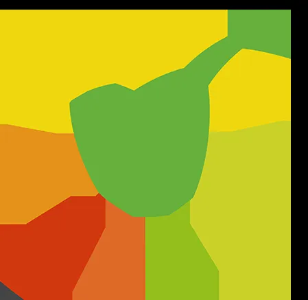 Kiyoh logo