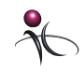 KM Medical Software
