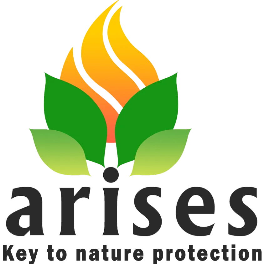 Knp Arises
