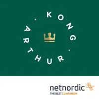 Kong Arthur logo