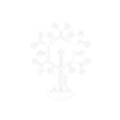 KoralTech Softwares
