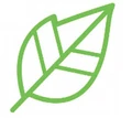 Kosmatology logo