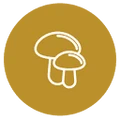 Kuja Wellness logo