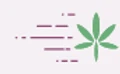 Kushfly logo