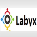 Labyx logo