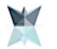 CAPTRUST logo