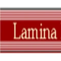 Lamina Foundries