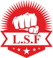 Lancer Shield Force