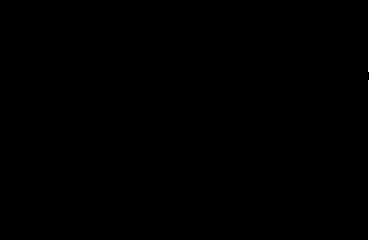 Lansas logo