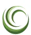 Laser Options logo