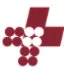Laser Print Plus logo