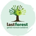 Last Forest