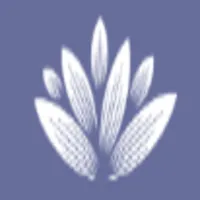Lattice Medical