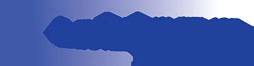 Laufer Insurance Solutions logo