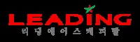 Leading Ace Capital logo